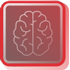 Mapeo cerebral